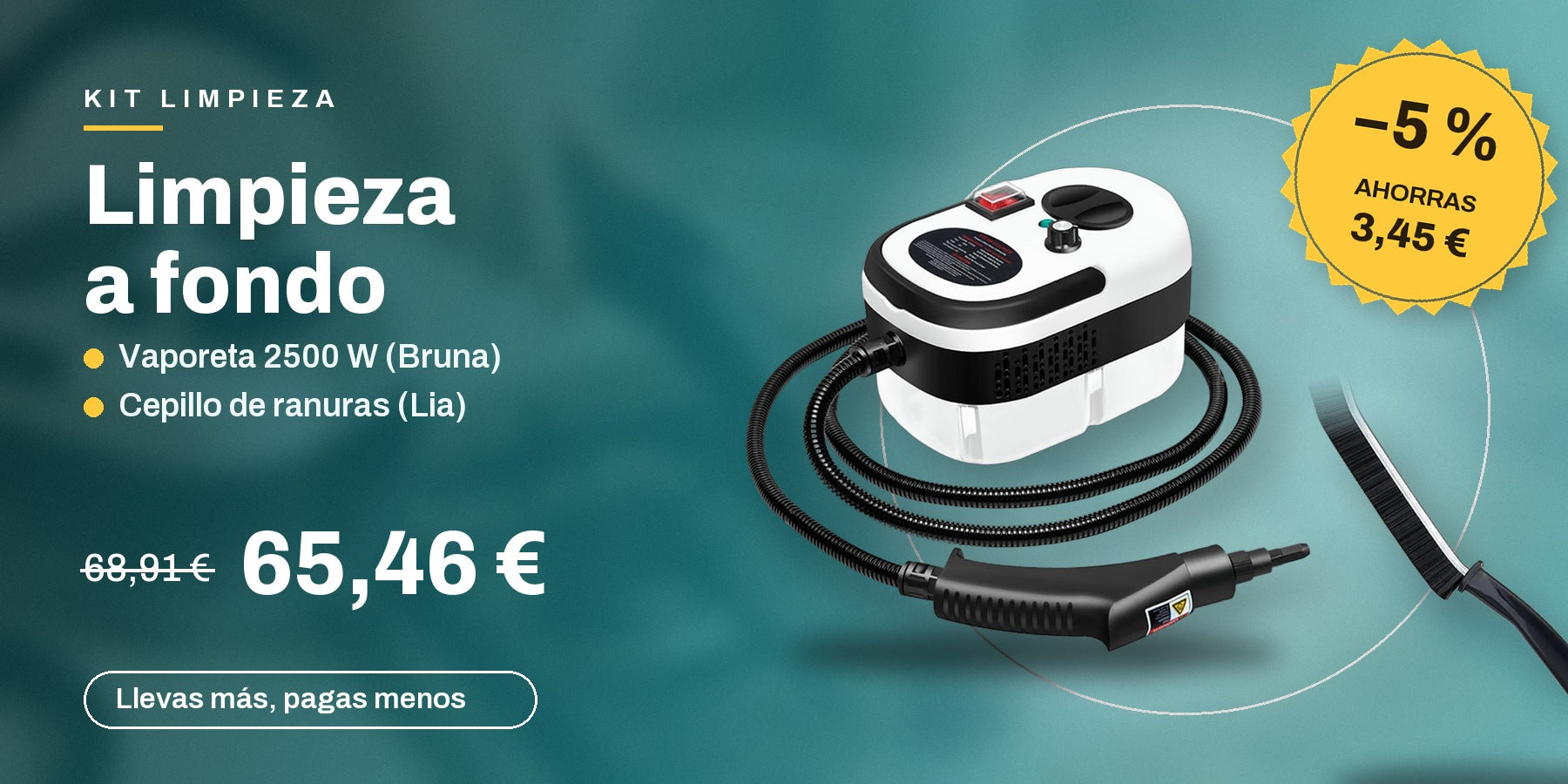 Kit limpieza: vaporeta de 2500 W y cepillo de ranuras